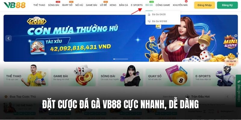 dat-cuoc-da-ga-vb88-cuc-nhanh-de-dang