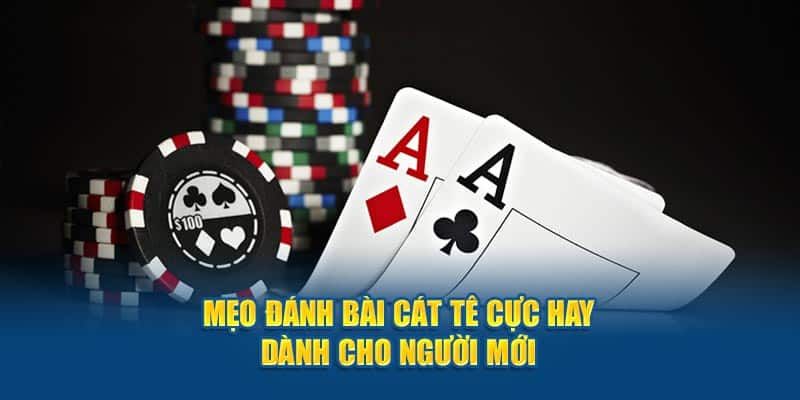 meo-danh-bai-catte