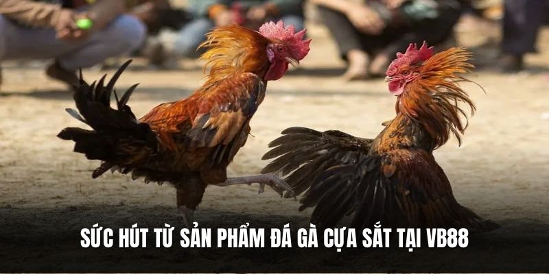 suc-hut-tu-san-pham-da-ga-cua-sat-tai-vb88