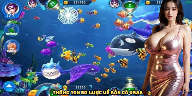 thong-tin-so-luoc-ve-ban-ca-vb88