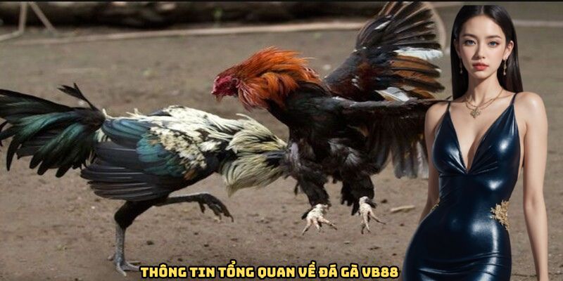thong-tin-tong-quan-ve-da-ga-VB88