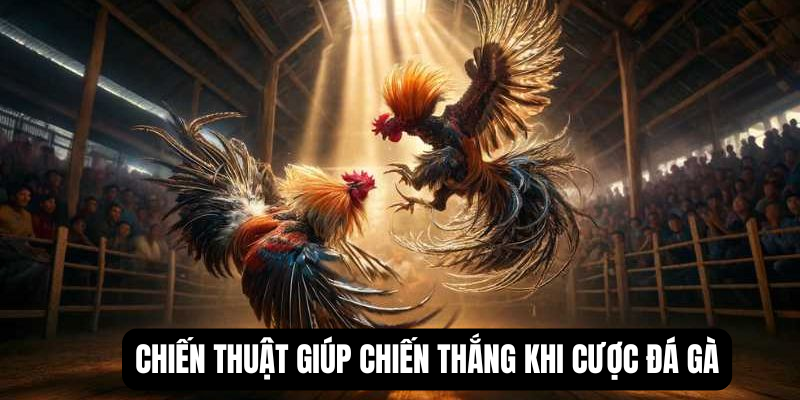 da-ga-my-kinh-nghiem