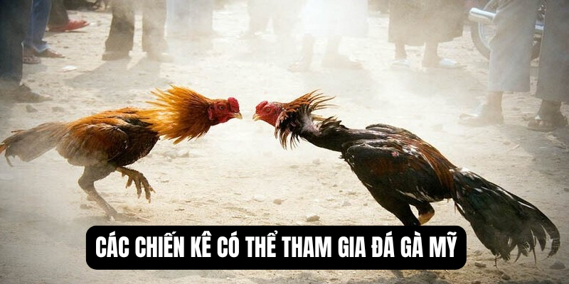 da-ga-my-nhan-biet